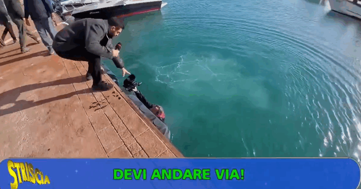 “Dovete andare via, non ci rompete il ca**o”: aggressione contro una troupe di “Striscia la notizia”, il cameramen spinto in acqua – IL VIDEO