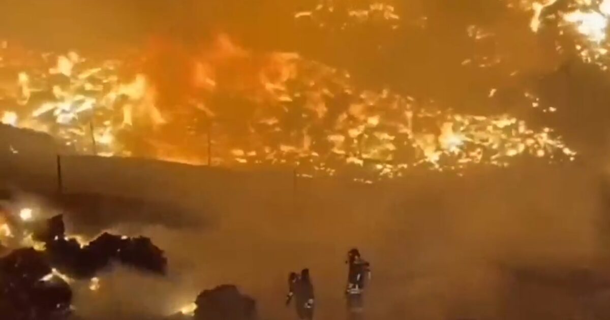 incendi boschivi in italia raddoppia la superficie in fumo nel 2025 bruciata un8217area grande come la provincia di pistoia da Ilfattoquotidiano.it incendi boschivi in italia raddoppia la superficie in fumo nel 2025 bruciata un8217area grande come la provincia di pistoia