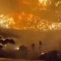 Copertina di Incendi boschivi: in Italia raddoppia la superficie in fumo. Nel 2025 bruciata un’area grande come la provincia di Pistoia