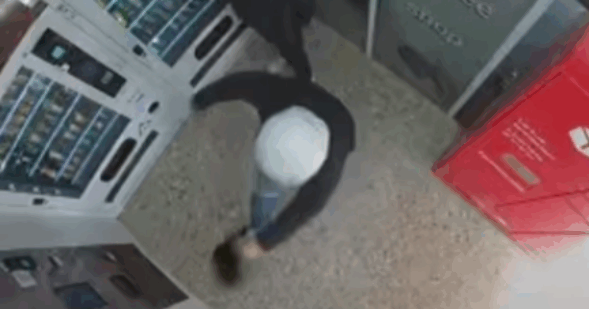 “Si è avvicinata per una carezza ed è stata colpita con un calcio. È un atto di crudeltà, chiediamo giustizia”: la violenza subita dalla gatta Nerina indigna i social