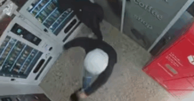 Copertina di “Si è avvicinata per una carezza ed è stata colpita con un calcio. È un atto di crudeltà, chiediamo giustizia”: la violenza subita dalla gatta Nerina indigna i social