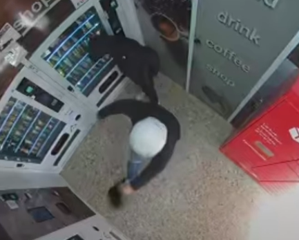 “Si è avvicinata per una carezza ed è stata colpita con un calcio. È un atto di crudeltà, chiediamo giustizia”: la violenza subita dalla gatta Nerina indigna i social