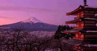 Copertina di L’overtourism colpisce Fujiyoshida, cancellato il festival dedicato alla fioritura dei ciliegi. Il sindaco: “La vita dei cittadini è minacciata dai turisti”