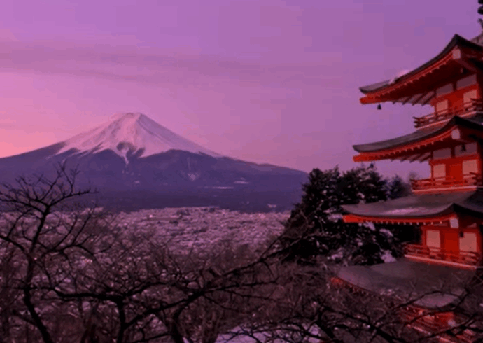 L’overtourism colpisce Fujiyoshida, cancellato il festival dedicato alla fioritura dei ciliegi. Il sindaco: “La vita dei cittadini è minacciata dai turisti”