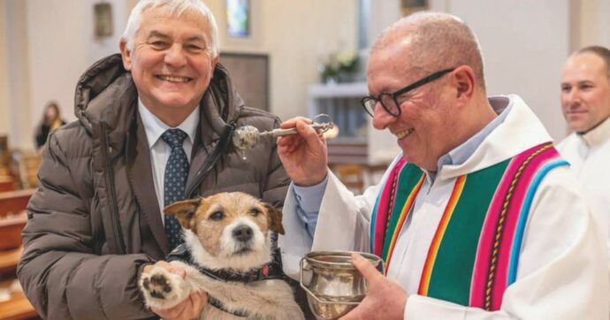 Eletto sindaco grazie ai voti al suo cane Thor