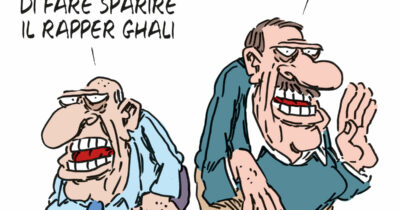 Copertina di La vignetta di Franzaroli