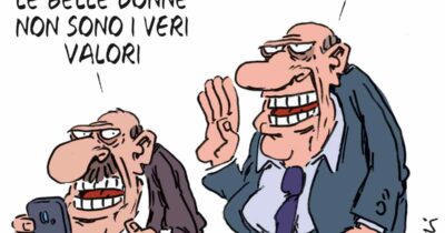 Copertina di La vignetta di Franzaroli