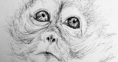 Copertina di “La nostra ricchezza l’animalità”: una consapevolezza arrivata anche a teatro. Un libro lo spiega