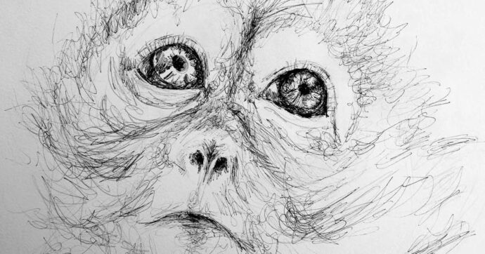 “La nostra ricchezza l’animalità”: una consapevolezza arrivata anche a teatro. Un libro lo spiega