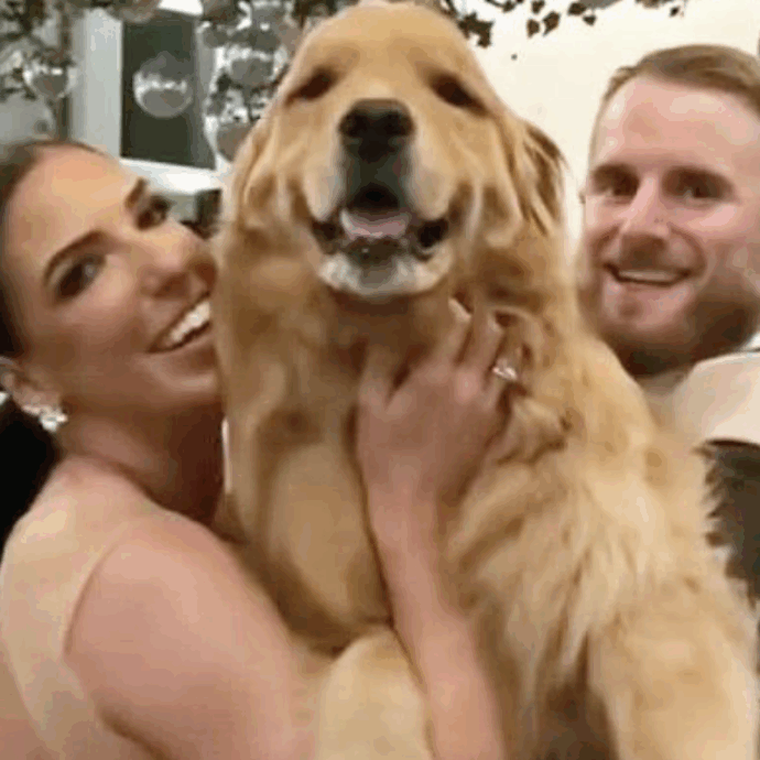 Un cagnolone testimone di nozze “benedice” con la zampa il matrimonio dei padroni: “Eravamo così felici, soprattutto vedendo quanto fosse felice lui” – IL VIDEO