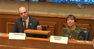 Copertina di “Abbattimento del lupo? Inutile persino per gli allevatori, ma alcuni politici fanno carriera così”: le associazioni contro il declassamento