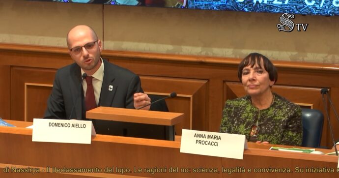 “Abbattimento del lupo? Inutile persino per gli allevatori, ma alcuni politici fanno carriera così”: le associazioni contro il declassamento