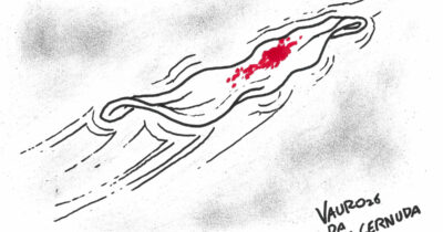 Copertina di La vignetta di Vauro