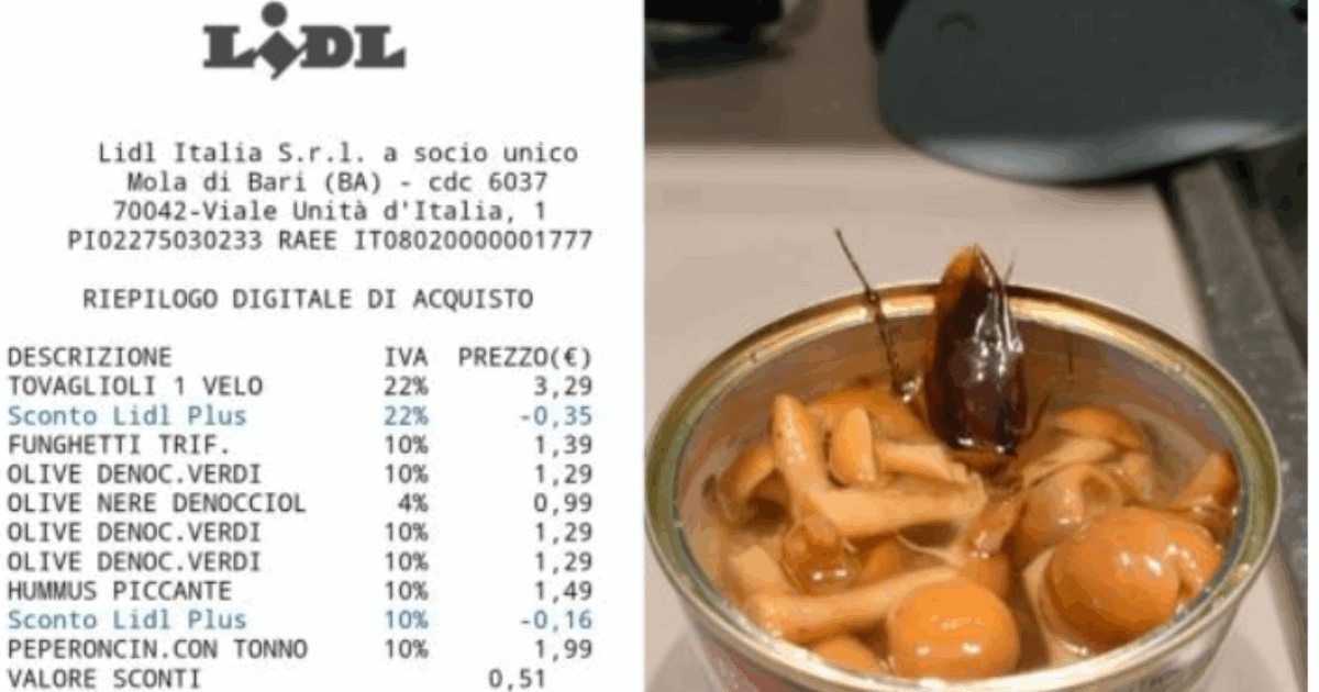 Apre un barattolo di funghi trifolati e ci trova dentro una blatta: la denuncia al Nas “per evitare che succeda ad altri”