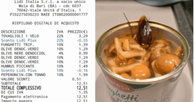Copertina di Apre un barattolo di funghi trifolati e ci trova dentro una blatta: la denuncia al Nas “per evitare che succeda ad altri”