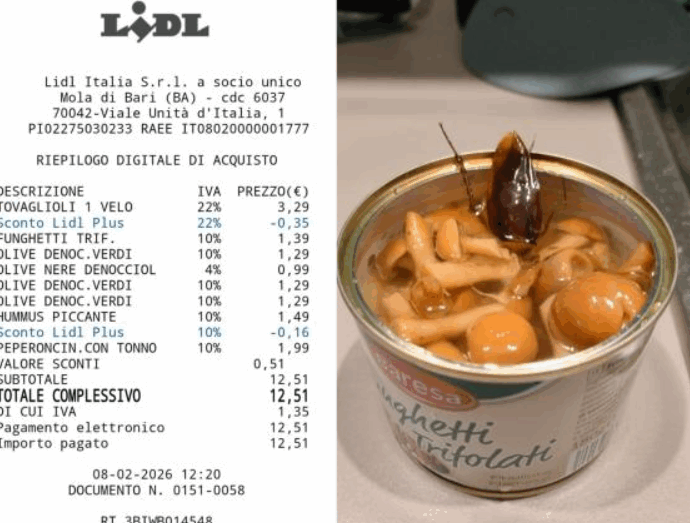 Apre un barattolo di funghi trifolati e ci trova dentro una blatta: la denuncia al Nas “per evitare che succeda ad altri”