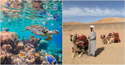 Copertina di L’estate nel cuore dell’inverno: fuga a Marsa Alam, dove il deserto si tuffa nel blu della barriera corallina
