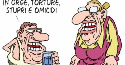 Copertina di La vignetta di Franzaroli