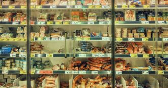 Copertina di Dalla salute riproduttiva a ictus e cancro, i medici italiani contro i danni da plastica: parte una campagna per la prevenzione