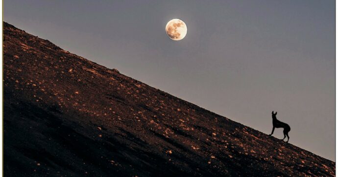 L’etica di Belletti, il commissario che oppone al male il senso del dovere