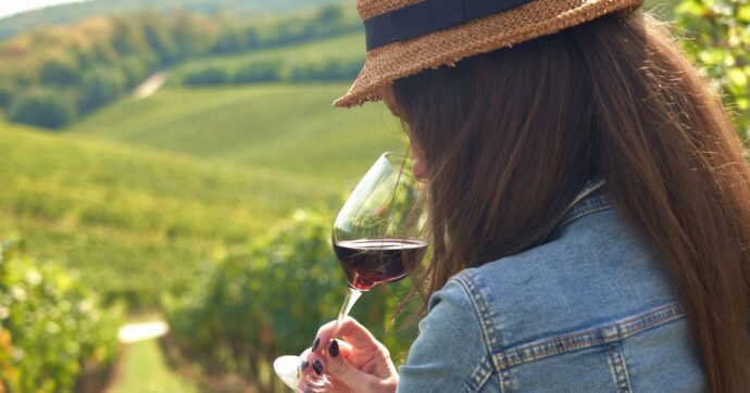 Donne&Vino. Altro che parità: tra vigneti, cantine e ristoranti sopravvivono ancora stereotipi e cliché