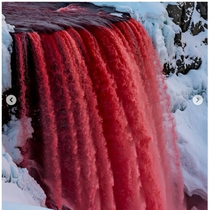 Risolto il mistero delle “cascate di sangue”: una nuova ricerca svela la verità sul fiotto di liquido rosso che sgorga da una montagna di ghiaccio
