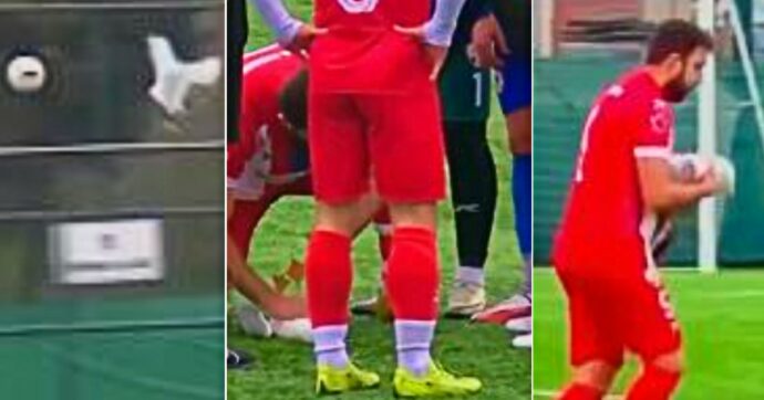 Gabbiano crolla a terra colpito dal pallone: il calciatore ferma il gioco, gli fa un massaggio cardiaco in campo e lo salva