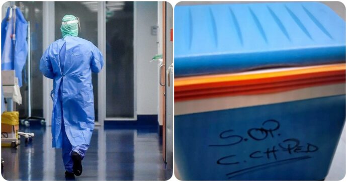 Cuore “bruciato”, il medico legale della famiglia: “Nessuna lesione al cuore nella fase dell’espianto” a Bolzano