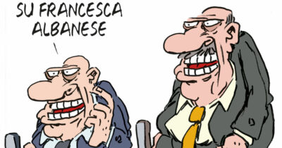 Copertina di La vignetta di Franzaroli