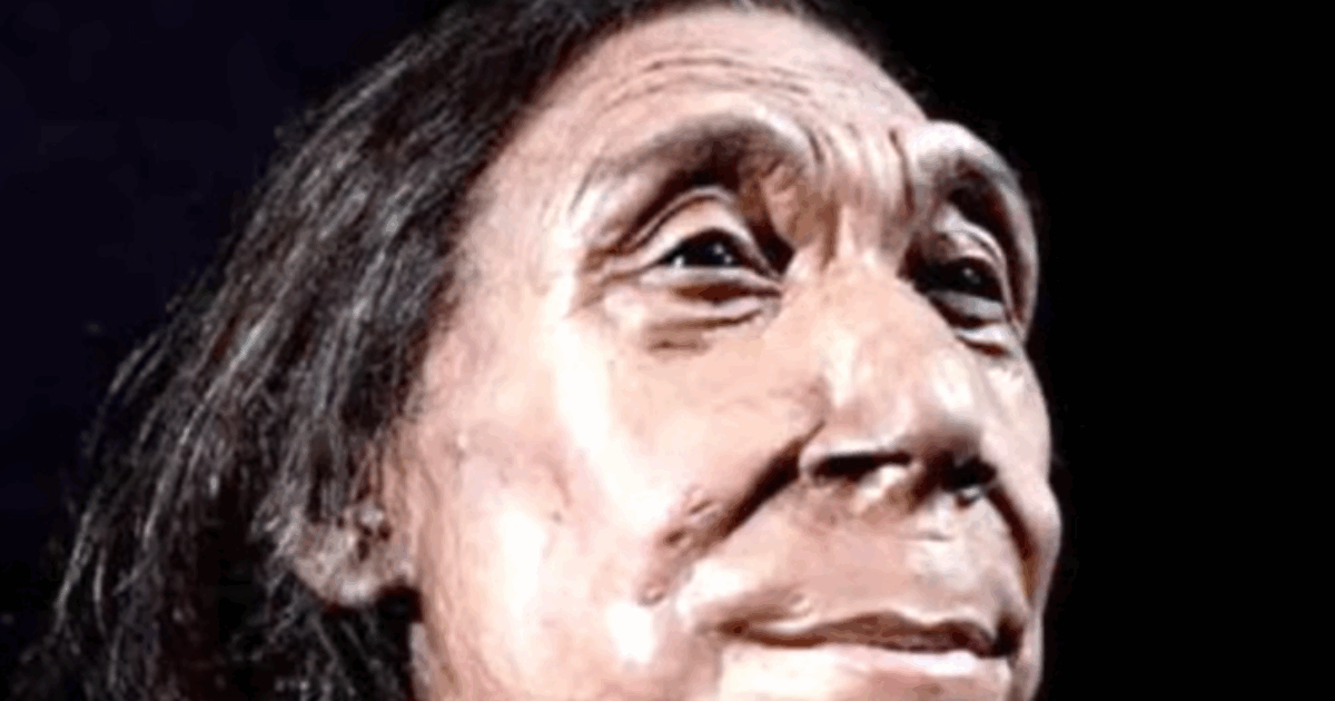 “Sapiens e Neanderthal avevano una relazione sessuale. La loro unione ha plasmato il genoma dell’uomo moderno”: la scoperta sui nostri antenati