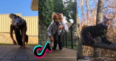 Copertina di Si identificano mentalmente in cani, gatti e volpi: su TikTok arrivano i “therian”. L’esperto: “Diventa allarmante se sfocia nell’autolesionismo o al ferimento degli altri”