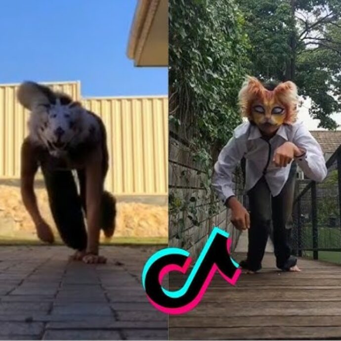 Si indentificano mentalmente in cani, gatti e volpi: su TikTok arrivano i “therian”. L’esperto: “Diventa allarmante se sfocia nell’autolesionismo o al ferimento degli altri”