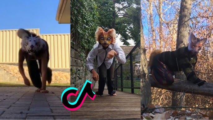 si indentificano mentalmente in cani gatti e volpi su tiktok arrivano i therian l8217esperto diventa allarmante se sfocia nell8217autolesionismo o al ferimento degli altri da Ilfattoquotidiano.it si indentificano mentalmente in cani gatti e volpi su tiktok arrivano i therian l8217esperto diventa allarmante se sfocia nell8217autolesionismo o al ferimento degli altri