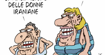 Copertina di La vignetta di Franzaroli