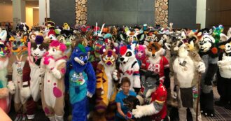 Copertina di I Maga hanno trovato il loro nemico esistenziale: le persone che “si credono gatti”