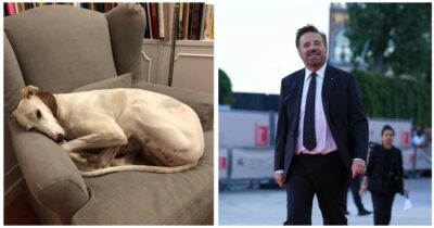 Copertina di “Buon viaggio mia amata Meri. Che dolore”: lutto per Christian De Sica, è morta la sua cagnolina