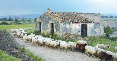 Copertina di Il ritorno di Balistreri,  poliziotto “nero”: il Male ora bagna la Sardegna