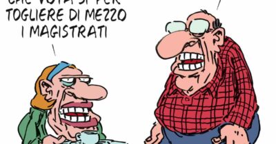 Copertina di La vignetta di Franzaroli