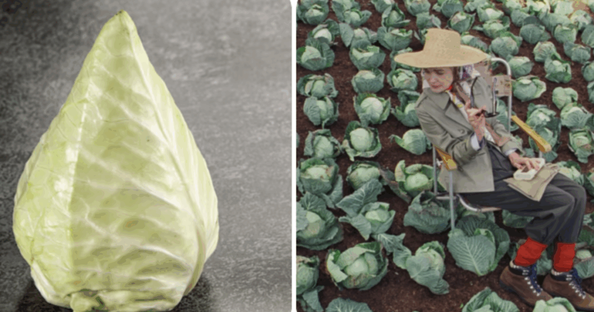 Arriva il trend del cavolo: dal New York Times al Guardian è “cabbagecore”