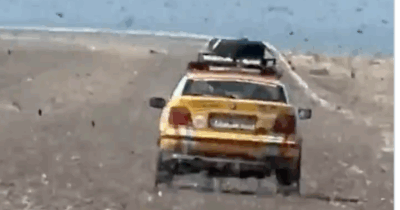 Copertina di “È apparsa una nube sul deserto”: sembrano nuvole ma sono sciami di locuste, entra in campo l’esercito in Algeria contro l’invasione di questi insetti