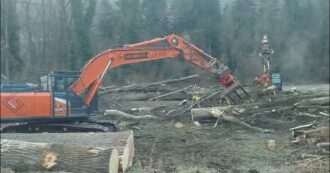 "Cancellati cent'anni in due ore": a Bressanone le ruspe abbattono l'ultimo bosco golenale della Valle Isarco