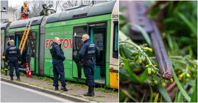 Principio di incendio su un tram a Milano: nessun ferito. Caduto un cavo della rete