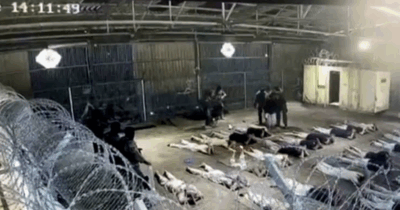 Copertina di L’esercito archivia il caso dei cinque militari dell'Idf accusati di violenza sessuale su un detenuto palestinese