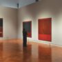 Copertina di Rothko,  ritorno a Firenze come allievo: “Io creo luoghi, non faccio dipinti” 