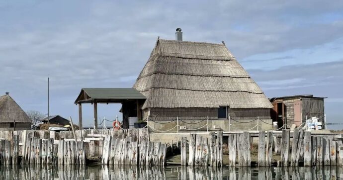 All’asta gli antichi “casoni” della Laguna di Marano e Grado, dove andava a caccia Hemingway