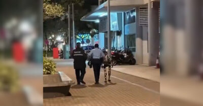 Copertina di Robot “spaventa” una donna per strada e viene portato via dalla polizia – Video