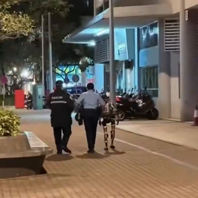 Robot “spaventa” una donna per strada e viene portato via dalla polizia – Video