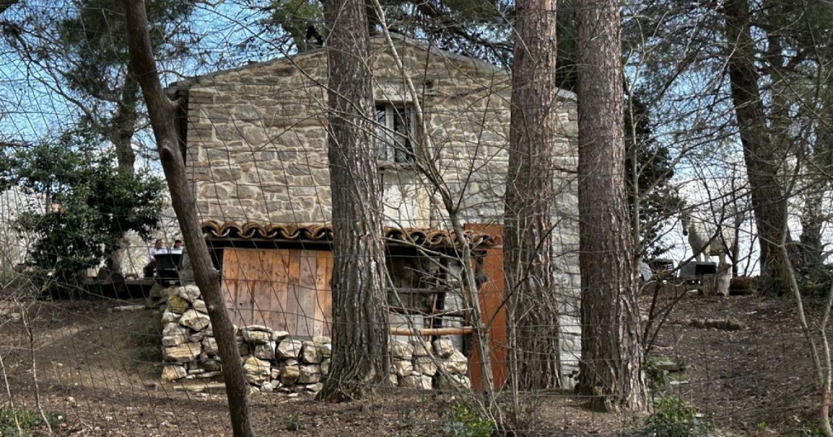la nuova casa gli ispettori di nordio al tribunale dell8217aquila e l8217attesa per l8217affidamento al pap224 a che punto 232 il caso dei bimbi nel bosco da Ilfattoquotidiano.it la nuova casa gli ispettori di nordio al tribunale dell8217aquila e l8217attesa per l8217affidamento al pap224 a che punto 232 il caso dei bimbi nel bosco