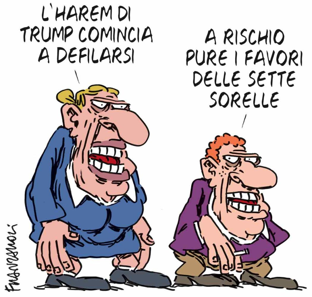 La vignetta di Franzaroli