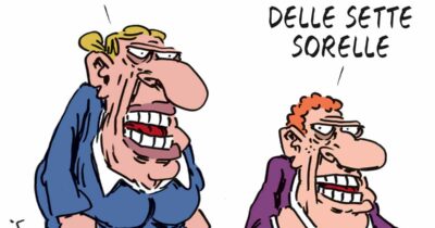 Copertina di La vignetta di Franzaroli